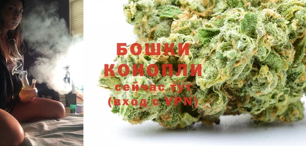 стафф Верхний Тагил