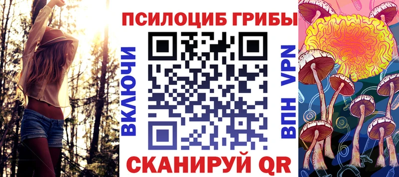 наркота  Кашира  Галлюциногенные грибы Cubensis 